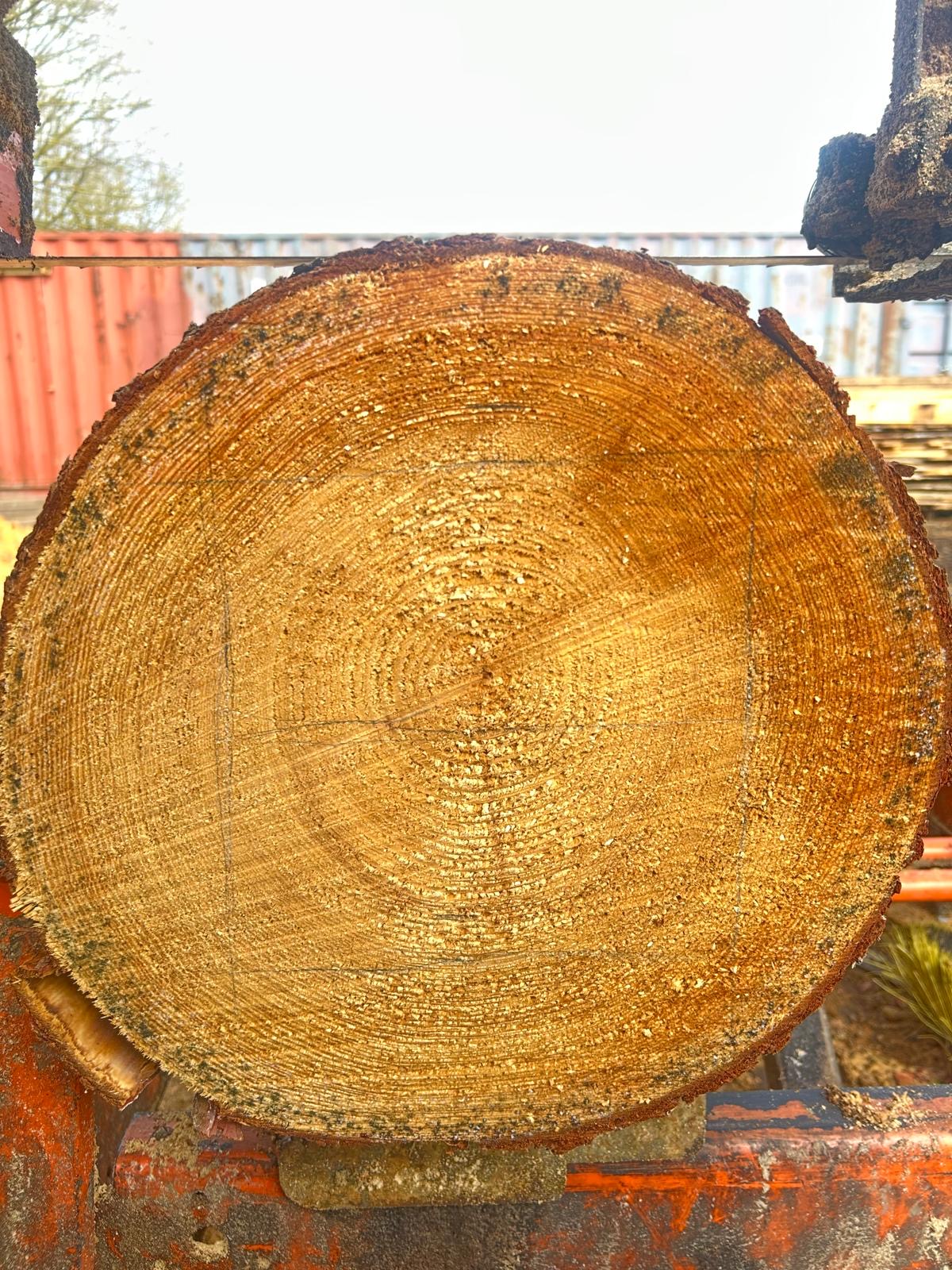 Timber